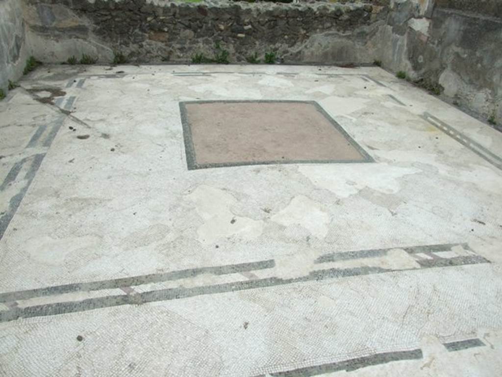 VI.11.10 Pompeii. March 2009. Room 33, looking north across mosaic floor in tablinum. 

