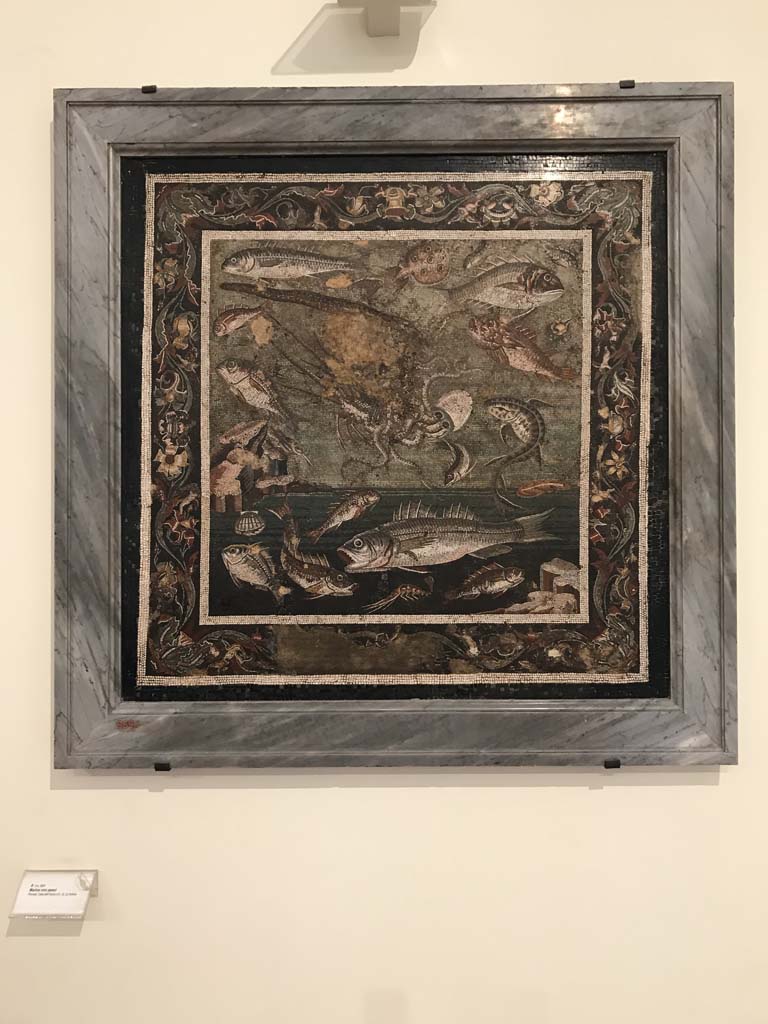 VI.12.2 Pompeii. April 2019. Floor mosaic emblema of fishes and marine life.
Photo courtesy of Rick Bauer.
(According to the information noticeboard from Naples Museum, this mosaic emblema was found in the room on the left of the tablinum 33.)
