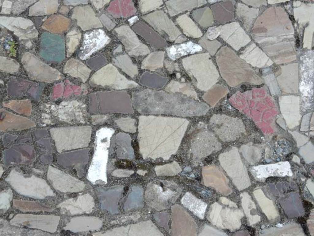 VI.12.2 Pompeii. May 2015. Detail of floor of ala on west side of atrium. Photo courtesy of Buzz Ferebee.
