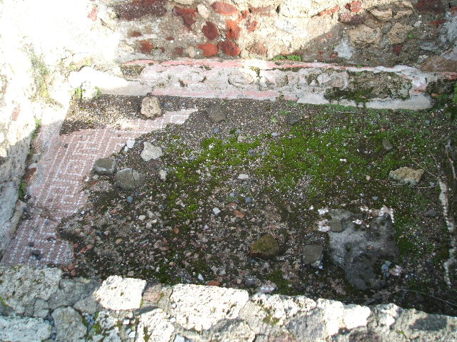 VI.14.2 Mosaic floor of water basin, pool or tank.
