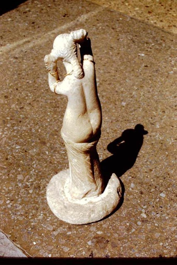 VI.14.27 Pompeii. 1971. Found in room “b”. Rear of marble statuette of Venus, found in the atrium on 16th April 1875. 
Now in Naples Archaeological Museum. Inventory number 110602. 
Photo by Stanley A. Jashemski.
Source: The Wilhelmina and Stanley A. Jashemski archive in the University of Maryland Library, Special Collections (See collection page) and made available under the Creative Commons Attribution-Non Commercial License v.4. See Licence and use details.
J71f0273

