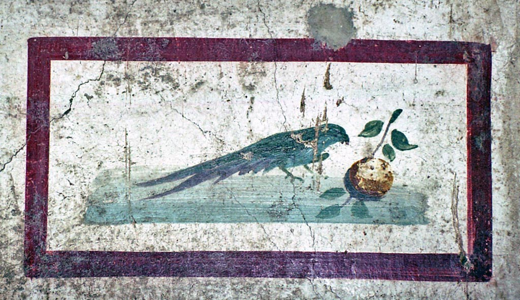 VI.15.1 Pompeii. October 2001. 
Painted panel from east end of south wall in bedroom on north side of entrance corridor. Photo courtesy of Peter Woods. 
(PPM – room k)
