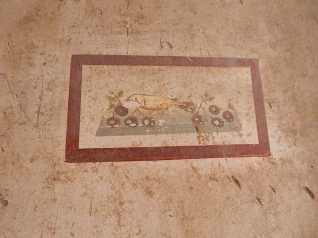 VI.15.1 Pompeii. May 2017. Painting of bird with cherries from west end of south wall. Photo courtesy of Buzz Ferebee.
