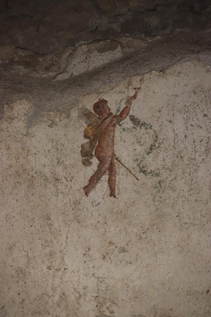 VI.15. I Pompeii. October 2023. Painted figure of cupid from south wall. Photo courtesy of Klaus Heese.