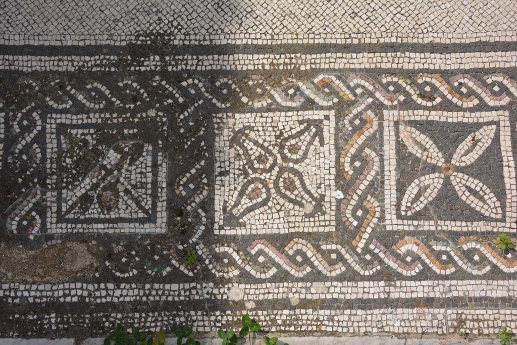 VI 15 5 Pompeii. March 2019. Tablinum 7, coloured mosaic threshold, detail starting from the south (left) side. 
Foto Annette Haug, ERC Grant 681269 DCOR.
