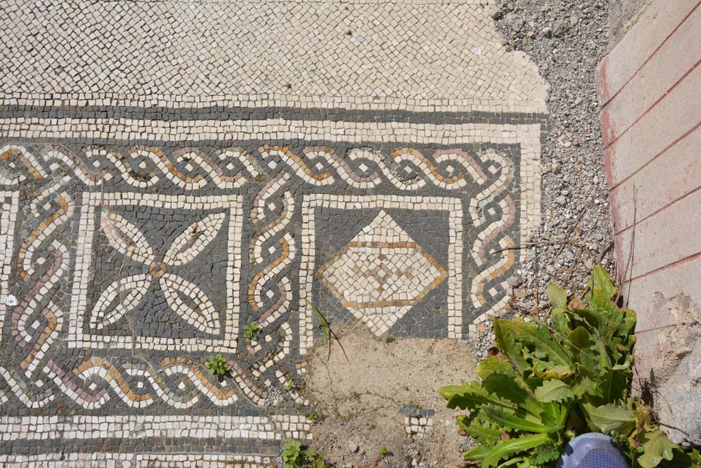 VI 15 5 Pompeii. March 2019. 
Tablinum 7, coloured mosaic threshold, detail starting from the south (left) side and finishing here on the north (right).
Foto Annette Haug, ERC Grant 681269 DCOR.
