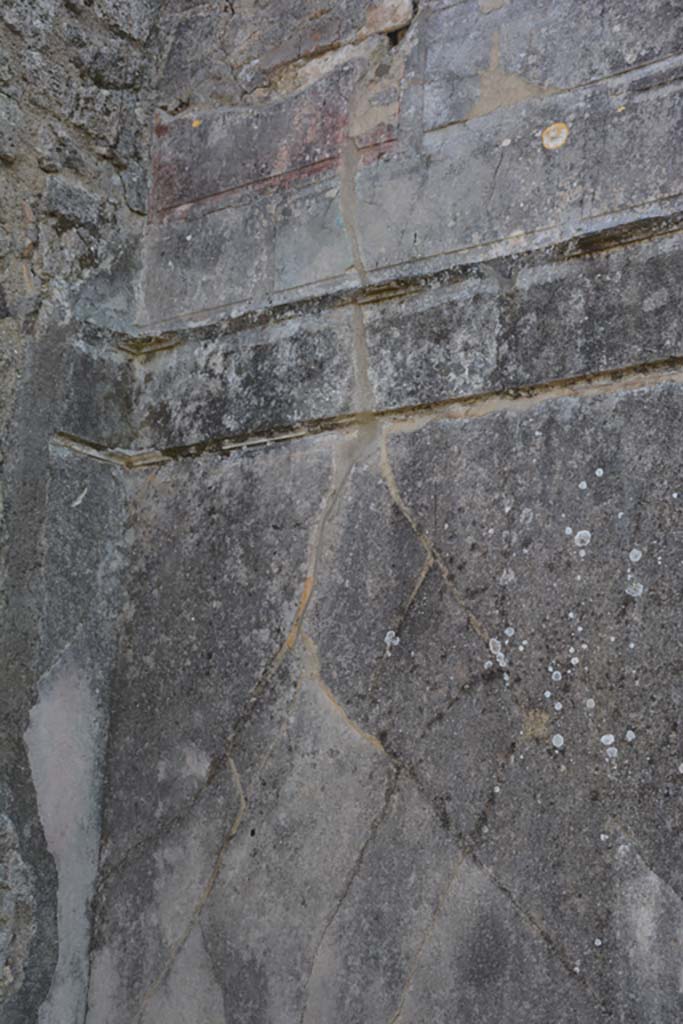 VI 15 5 Pompeii. March 2019. Oecus 24, detail from upper south wall at east end.
Foto Annette Haug, ERC Grant 681269 DCOR.
