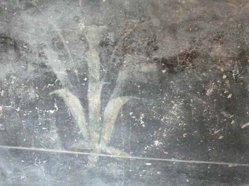 VI.15.8 Pompeii. May 2010.  Detail of painted plant on north wall of tablinum.