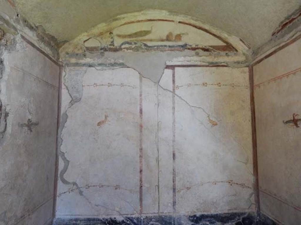 VI.15.8 Pompeii. May 2015. North wall of cubiculum. Photo courtesy of Buzz Ferebee.

