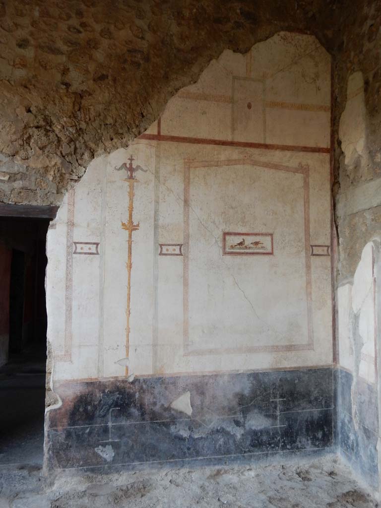 VI.15.8 Pompeii. June 2019. North wall of the portico and doorway (on left) to atrium.
Photo courtesy of Buzz Ferebee.
