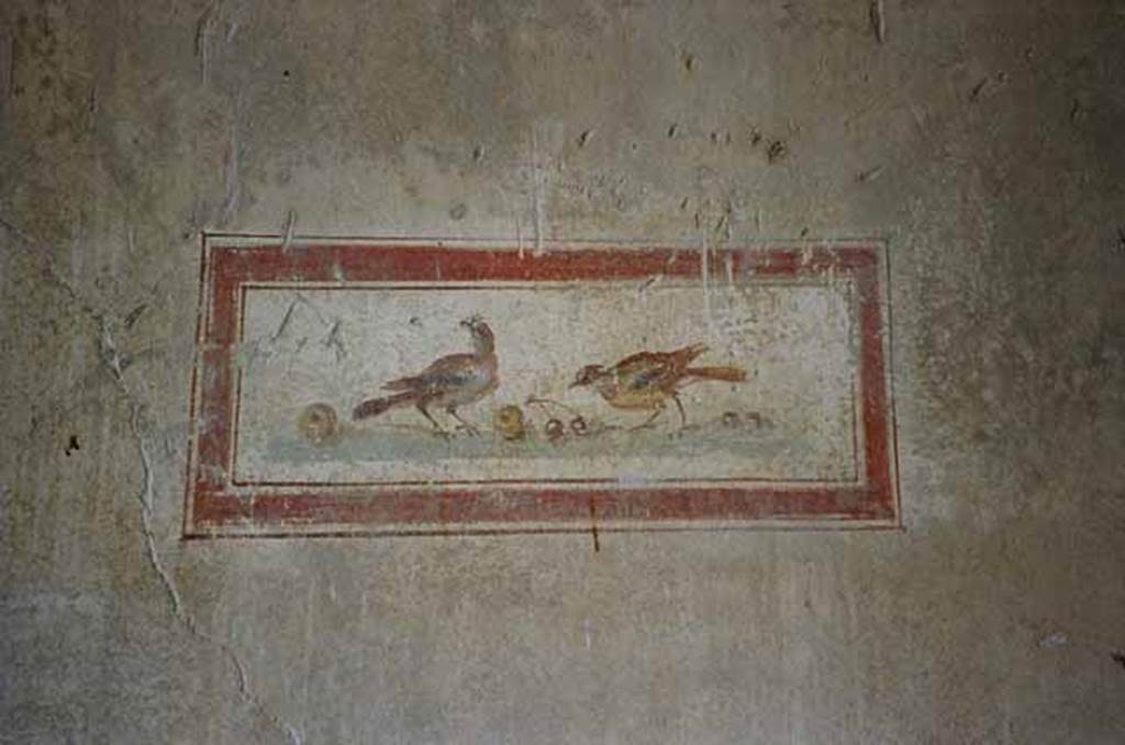VI.15.8 Pompeii. May 2010.   North wall of the portico.  Panel showing birds with fruit. Photo courtesy of Rick Bauer.
