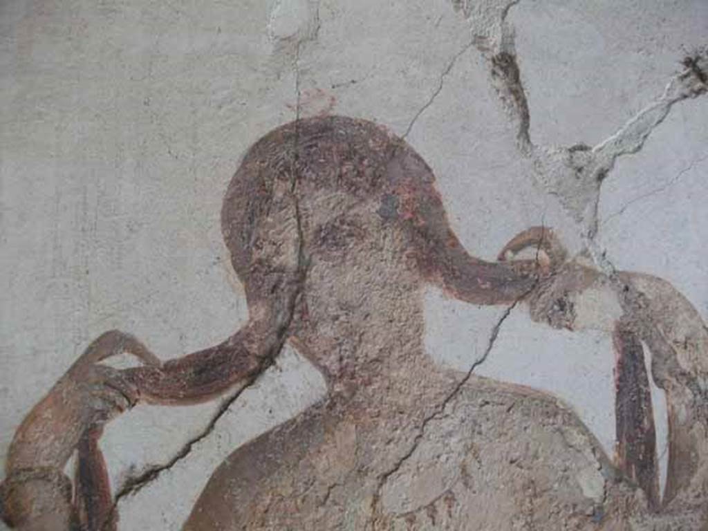 VI.15.8 Pompeii. May 2010.  Detail of Venus.