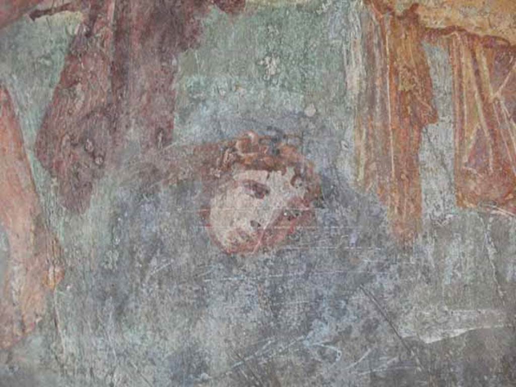 VI.15.8 Pompeii. May 2010. Detail of the reflection of the head of the gorgon Medusa in the water below Perseus and Andromeda.