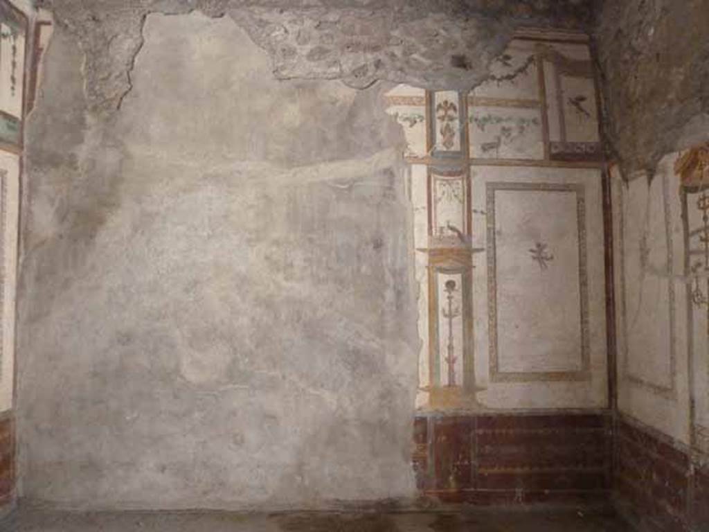 VI.15.8 Pompeii. May 2010. South wall of oecus.