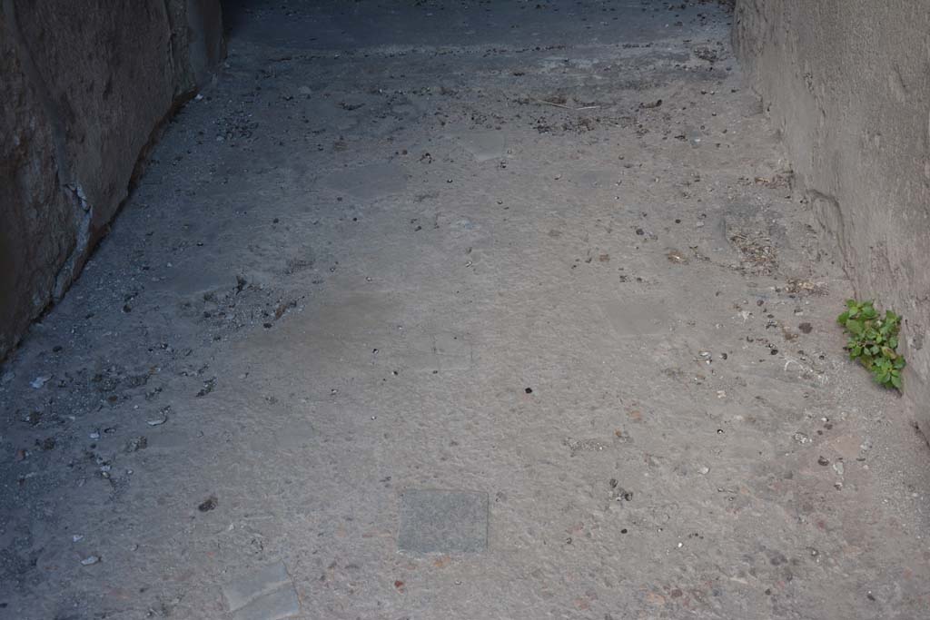 VI.15.9 Pompeii. July 2017. Looking west towards flooring in entrance corridor.
Foto Annette Haug, ERC Grant 681269 DÉCOR.

