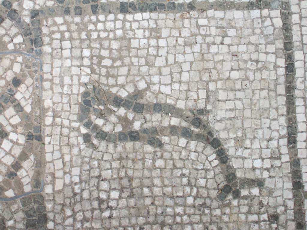 VI.16.7 Pompeii. May 2006. Room E, detail of coloured mosaic in doorway threshold in tablinum.