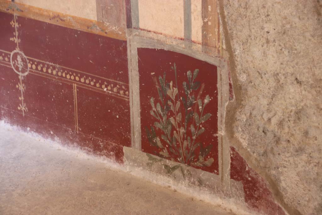 VI.16.7 Pompeii, September 2021. Room Q, painted plant at east end of zoccolo on north wall. Photo courtesy of Klaus Heese.