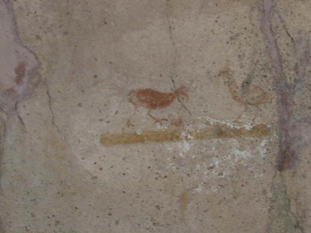 VI.16.33 Pompeii. May 2003. Painting of birds on east wall. Photo courtesy of Nicolas Monteix.