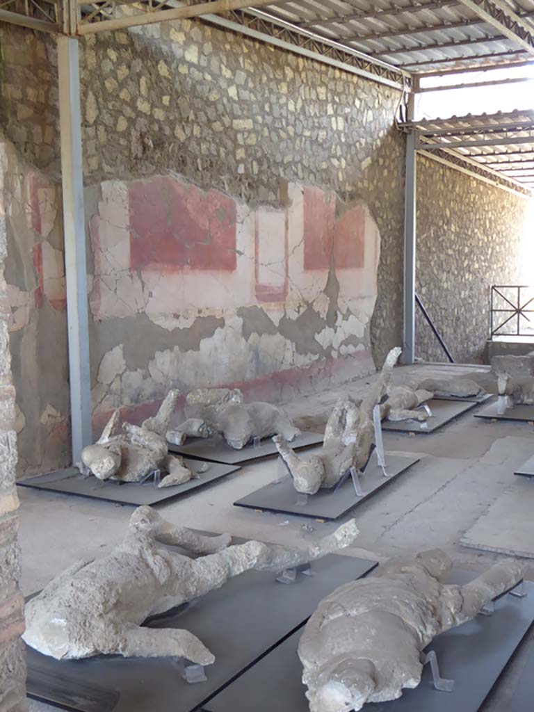 VI.17.42 Pompeii. September 2017. Looking towards south wall of atrium area.
Foto Annette Haug, ERC Grant 681269 DÉCOR.
