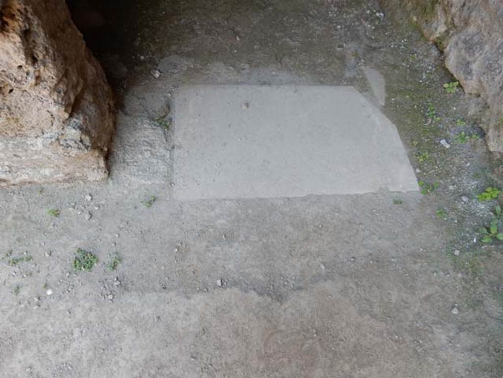 VII.1.47 Pompeii. May 2017. Threshold of doorway leading into room 20. Photo courtesy of Buzz Ferebee.