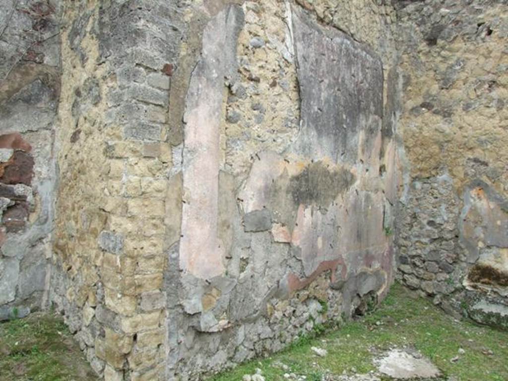 VII.2.14 Pompeii.  March 2009. Tablinum.  South wall.