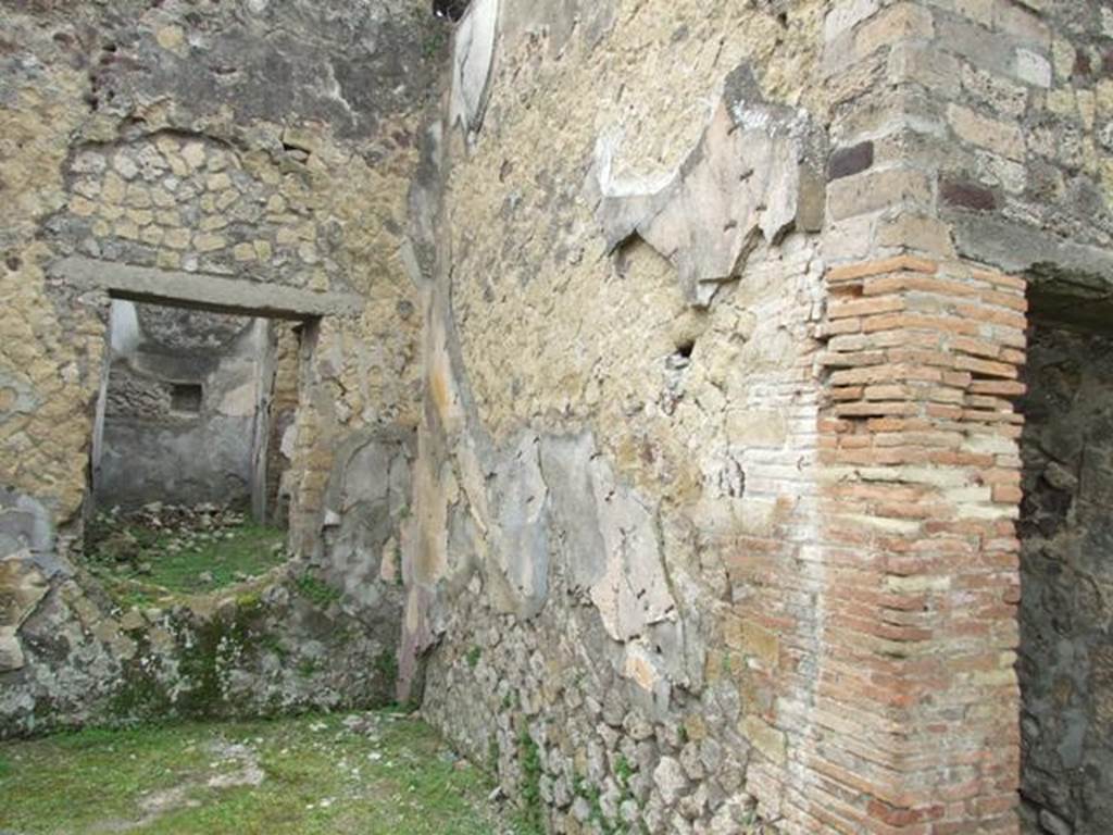 VII.2.14 Pompeii. March 2009. Tablinum, north wall.
