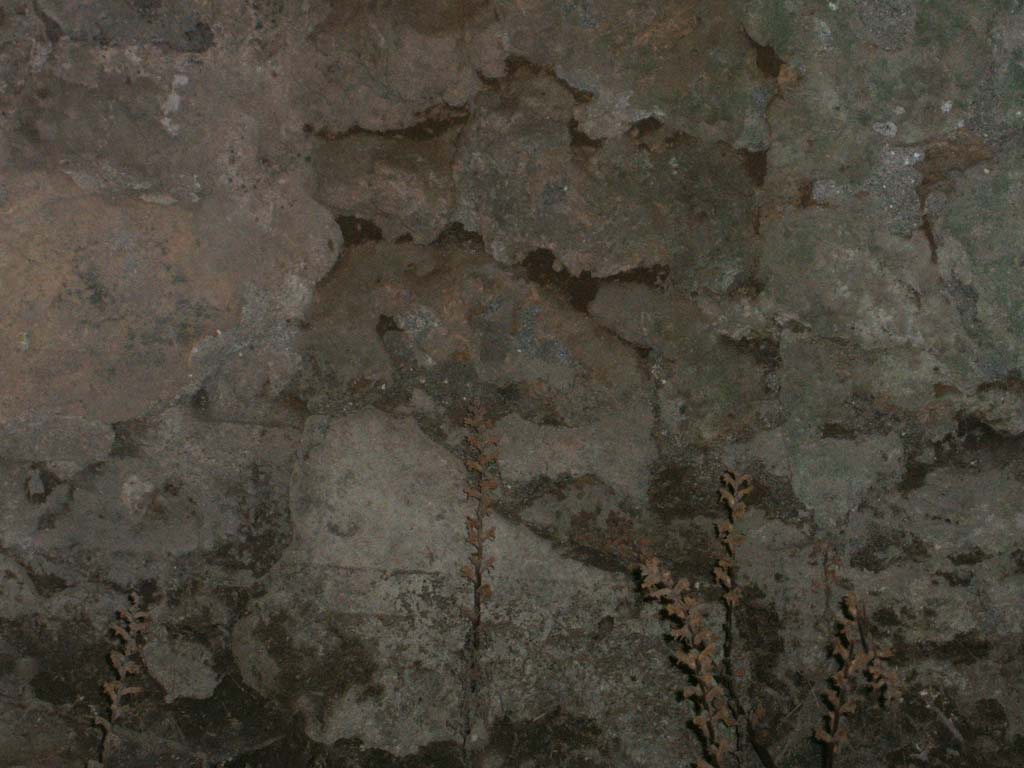 VII.2.23 Pompeii. December 2004. Cellar.