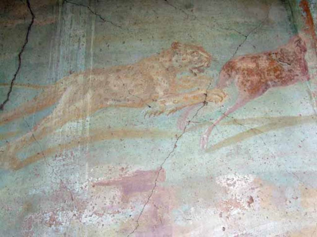 VII.2.25 Pompeii. March 2009. Viridarium, large animal painting from upper west end of south wall. A leopard is pursuing a deer.