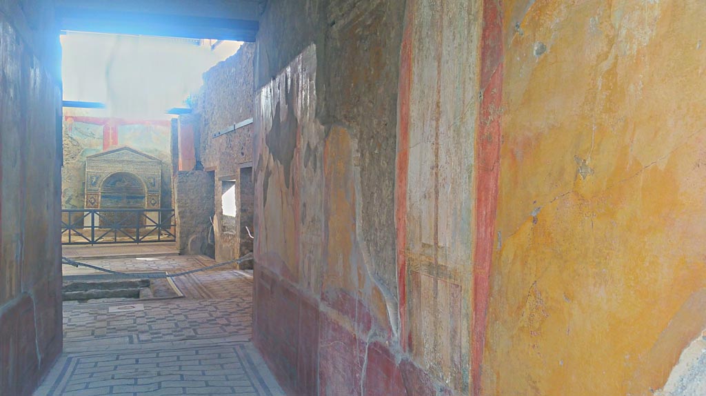 VII.2.45 Pompeii. 2017/2018/2019. 
Looking north along east wall of entrance corridor with decorated walls. Photo courtesy of Giuseppe Ciaramella.
