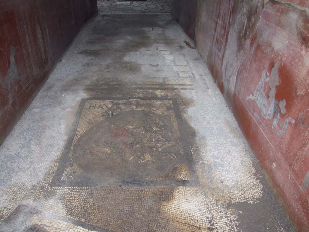VII.2.45 Pompeii. December 2007. Mosaic floor of vestibule.