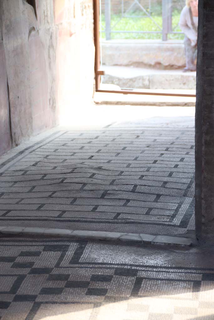 VII.2.45 Pompeii, September 2017. 
Looking south from atrium across vestibule flooring towards entrance doorway.
Photo courtesy of Klaus Heese.
