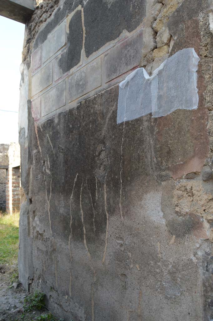 VII.2.51 Pompeii, March 2019. East wall of entrance corridor.
Foto Taylor Lauritsen, ERC Grant 681269 DÉCOR.
