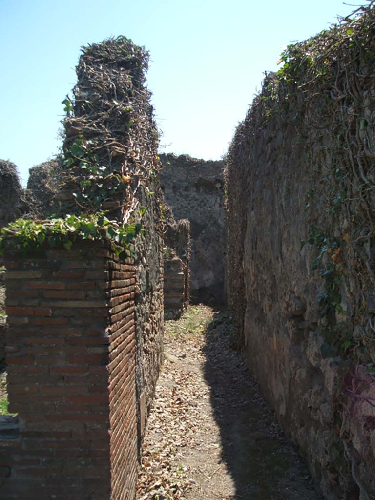 VII.3.8 Pompeii. May 2005. Looking south along corridor “b” to rear.
According to Boyce, against the west wall of the central area “c” of the dwelling house stood a masonry altar.
An arched niche was in the wall above the altar. 
See Boyce G. K., 1937. Corpus of the Lararia of Pompeii. Rome: MAAR 14. (p.63-4, Pl.12,1) 
