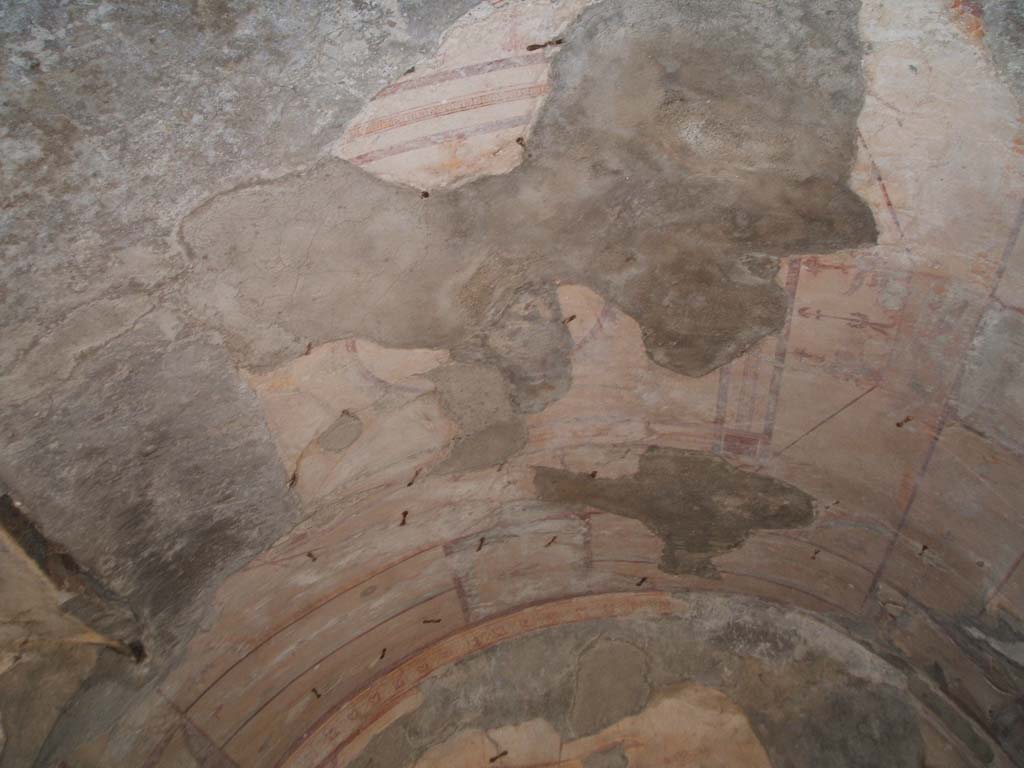 VII.3.21 Pompeii. May 2005. Vaulted ceiling in triclinium. 