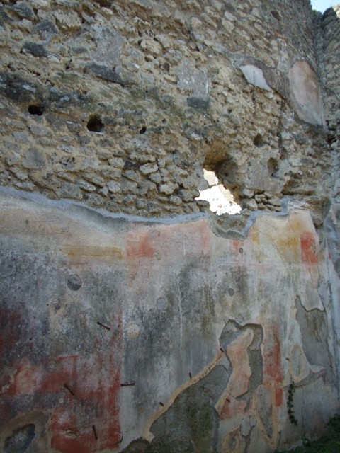 VII.3.29 Pompeii.  March 2009. Room 3. Triclinium.  North wall.