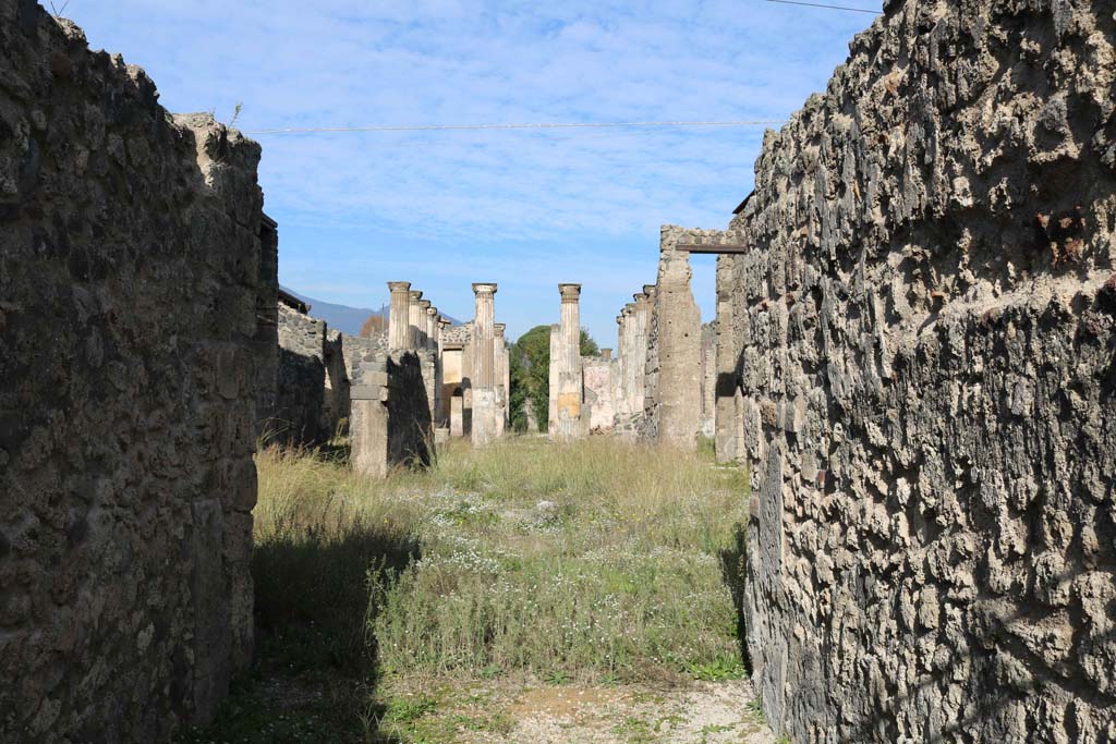 VII.4.31/51 Pompeii. December 2018. Looking north to atrium from entrance corridor. Photo courtesy of Aude Durand.