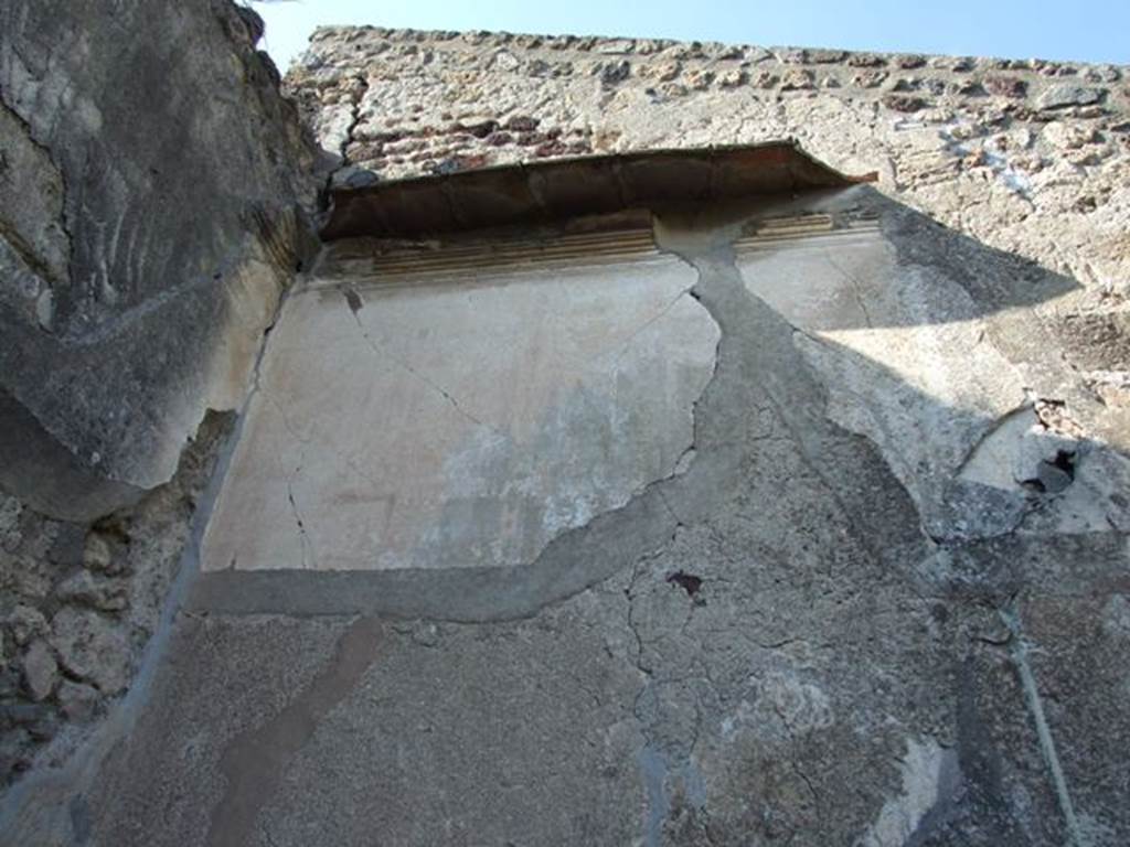 VII.4.31 Pompeii. March 2009. Room 5, north-west corner of cubiculum.  
Remains of stucco and painted plaster on upper wall. 
The middle section had been plastered but not painted and the lower wall had not been started at all.  The work of decoration was obviously interrupted and never finished.
