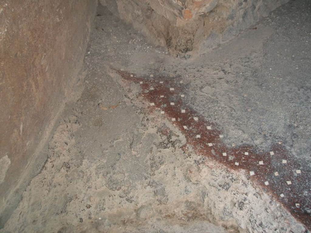 VII.4.37 Pompeii. May 2006. Floor near hearth.
