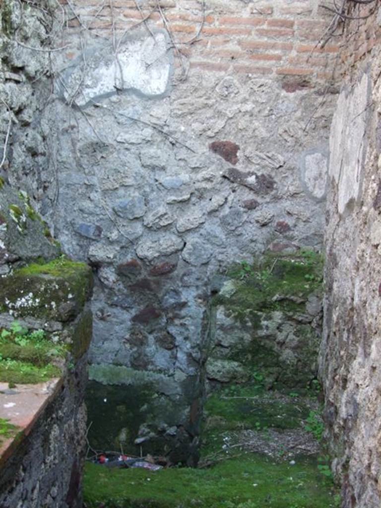 VII.4.48 Pompeii. May 2015. Room 8, detail of latrine. Photo courtesy of Buzz Ferebee.
