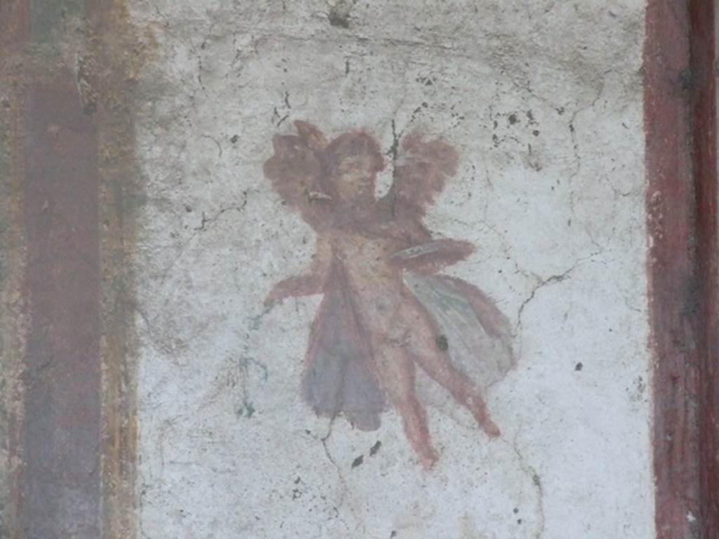 VII.4.48 Pompeii. December 2007. Room 14, cubiculum. West wall.   
Wall painting of a winged cupid.
