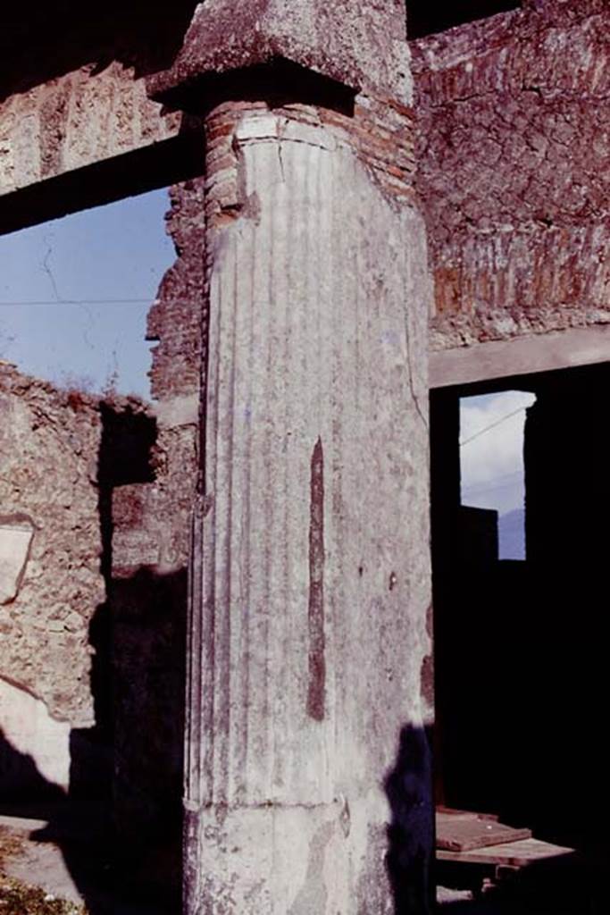 VII.4.59 Pompeii, 1978. Pillar reinforced by two engaged columns on south-west corner of peristyle, with exedra or triclinium y at its rear. Photo by Stanley A. Jashemski.   
Source: The Wilhelmina and Stanley A. Jashemski archive in the University of Maryland Library, Special Collections (See collection page) and made available under the Creative Commons Attribution-Non Commercial License v.4. See Licence and use details. J78f0090
