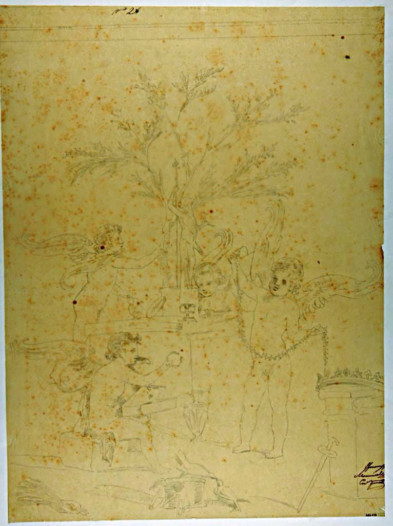 VII.4.59 Pompeii. Drawing of Cupids playing with the attributes of Aphrodite next to a statue of Priapus
Found on the west wall of Exedra or triclinium y. 
Drawing attributed to Michele Mastracchio.
Now in Naples Archaeological Museum. Inventory number ADS 673.
Photo © ICCD. https://www.catalogo.beniculturali.it/
Utilizzabili alle condizioni della licenza Attribuzione - Non commerciale - Condividi allo stesso modo 2.5 Italia (CC BY-NC-SA 2.5 IT)

