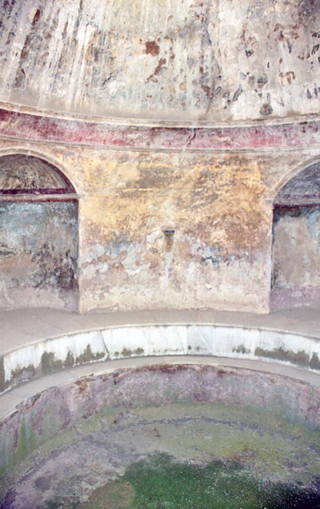VII.5.24 Pompeii. October 2001. 
Frigidarium, remains of painted plaster. Photo courtesy of Peter Woods.
