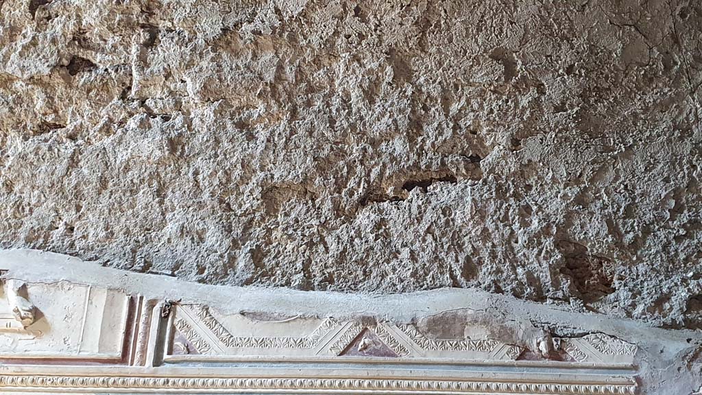 VII.5.24 Pompeii. August 2021. Tepidarium (37). Detail from west wall.
Foto Annette Haug, ERC Grant 681269 DÉCOR.
