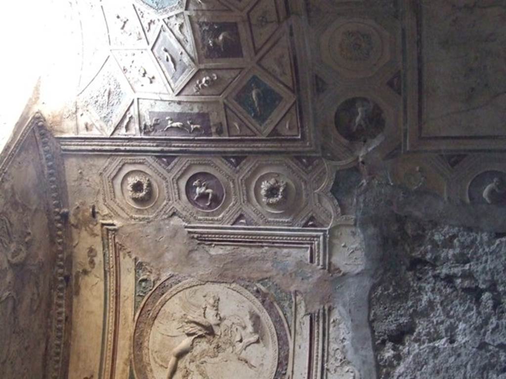 VII.5.24 Pompeii. December 2007. Ceiling plaster stucco in south-west corner of tepidarium.
