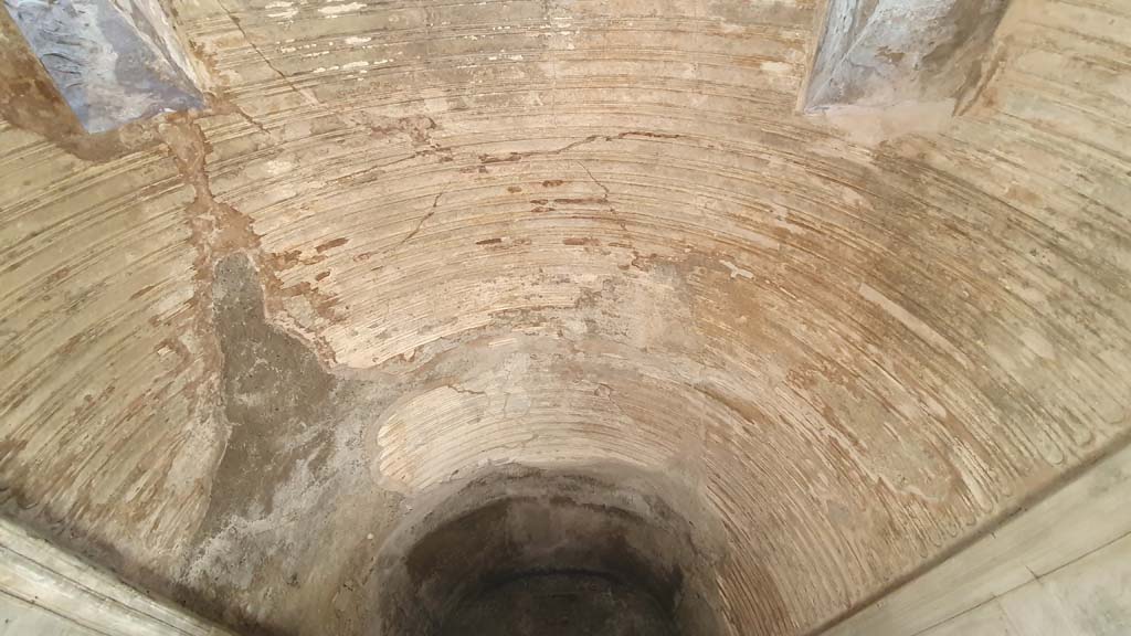 VII.5.24 Pompeii. August 2021. Caldarium (39), ceiling stucco.
Foto Annette Haug, ERC Grant 681269 DÉCOR.

