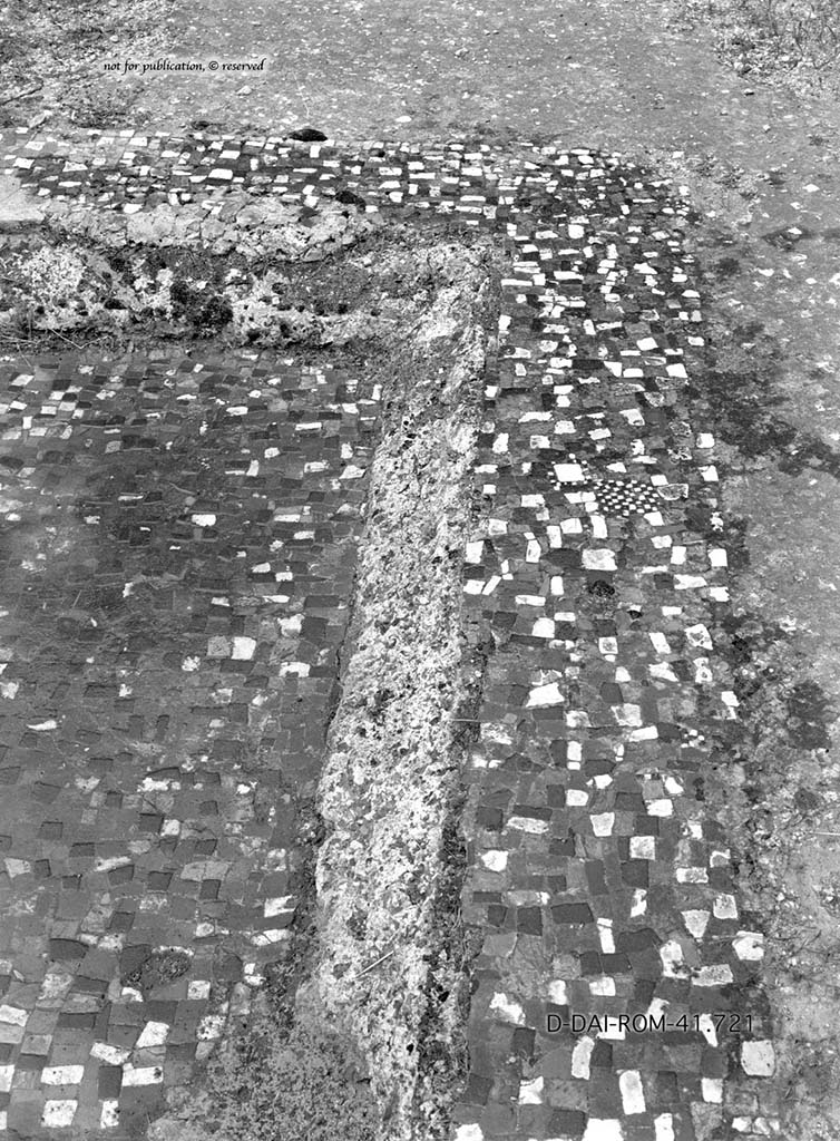 VII.6.10/11/16, Pompeii. c.1930. Flooring in atrium and side of impluvium. 
DAIR 41.721. Photo © Deutsches Archäologisches Institut, Abteilung Rom, Arkiv.
See Pernice, E.  1938. Pavimente und Figürliche Mosaiken: Die Hellenistische Kunst in Pompeji, Band VI. Berlin: de Gruyter, (p. 84-5, and Taf. 38,2 above). 
According to PPM,
“Particularly interesting was the flooring of the atrium (61) in lava and mortar wrought with flakes of green, red, yellow and white limestone, and the masonry impluvium covered in cocciopesto with a moulded edge that Pernice thought was very elegant. Seen in the cocciopesto border and the base were black, gray, yellow, pink, green, and white flakes, roughly square in shape, with a disposition not entirely regular.”
(Particolarmente interessante era la pavimentazione dell’atrio (61) in battuto di lava e malta con scaglie di calcare verde, rosso, giallo e bianco, e l’impluvio in muratura rivestito di cocciopesto con un bordo dal profilo modanato che colpi Pernice per la sua eleganza. I bordi e il fondo presentavano allettate nel cocciopesto, scaglie nere, grigie, gialle, rosa, verdi, bianche, di forma all’incirca quadrangolare, con disposizione non del tutto regolare). 
See PPM VII. 7, (p.180)
