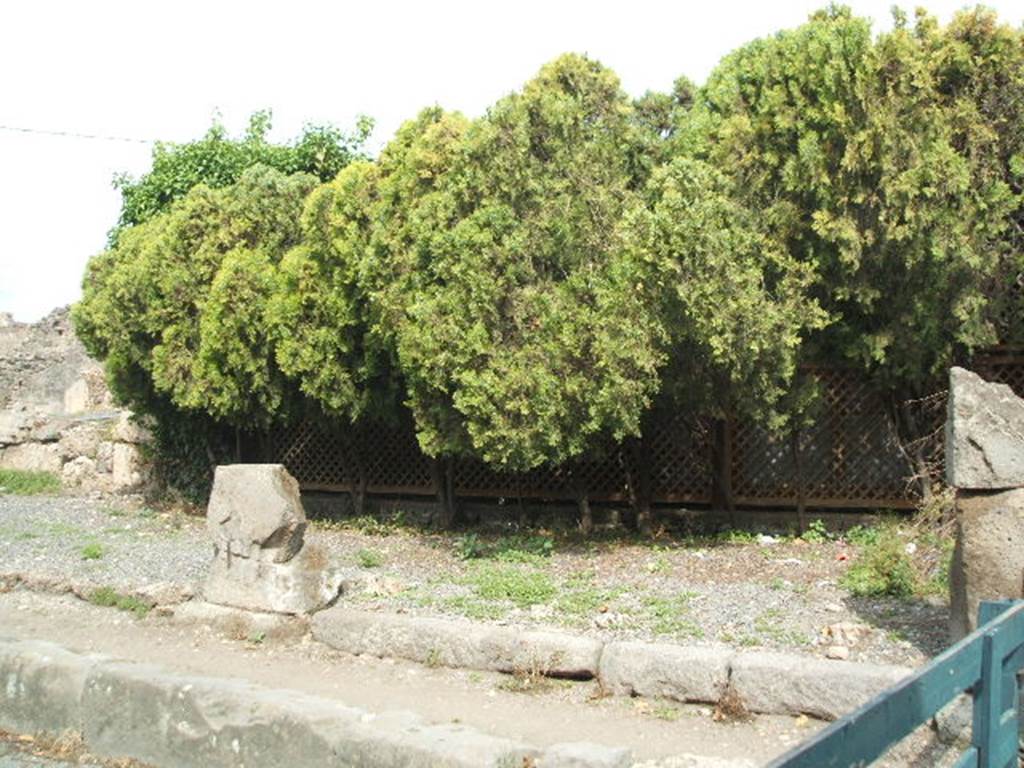 VII.6.24 Pompeii. May 2005. Looking towards entrance. A marble slab with a Sepulchral inscription was found on 15th July 1872 in this area. It was splintered into small parts, but read 
Traebia Fortunata
vixit annis XXIX    [CIL X 1078]
This was numbered 54 on display in the Pompeii Antiquarium, prior to its own bombing in 1943. It was also in Fiorellis guide of 1877. (Guida di Pompei, p.90-91)
