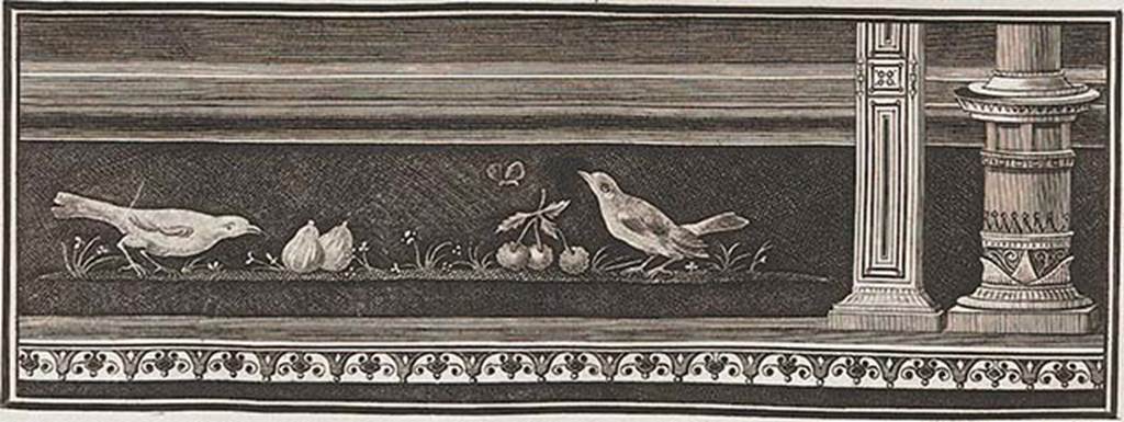 VII.6.28 Pompeii. Found 30th April 1762. A thrush eating figs and a blackbird eating cherries.
Now in Naples Archaeological Museum. Inventory number 9733.
See Antichità di Ercolano: Tomo Quarto: Le Pitture 4, 1765, pl. 25, p. 123. 
See PAH I, 1, 145-146.
