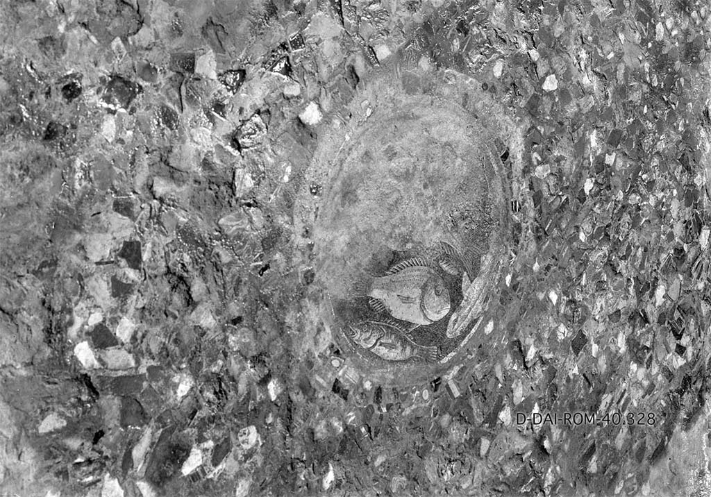 VII.6.38 Pompeii. 1940. Room 29, fish emblema in centre of floor. Oecus on north side of entrance.  
DAIR 40.328. Photo © Deutsches Archäologisches Institut, Abteilung Rom, Arkiv. 